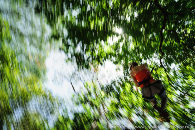 Zipline through forest canopies. Photo credit: Jay Mitchosky on 500px.com